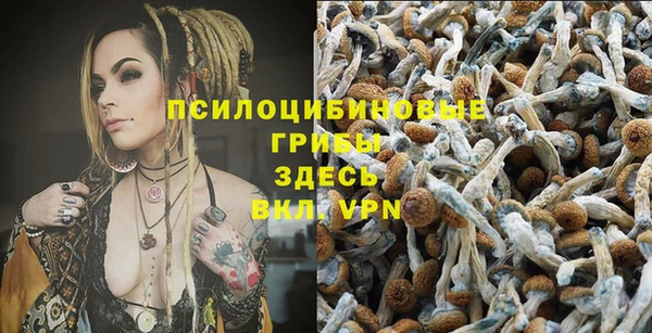 а пвп мука Саяногорск
