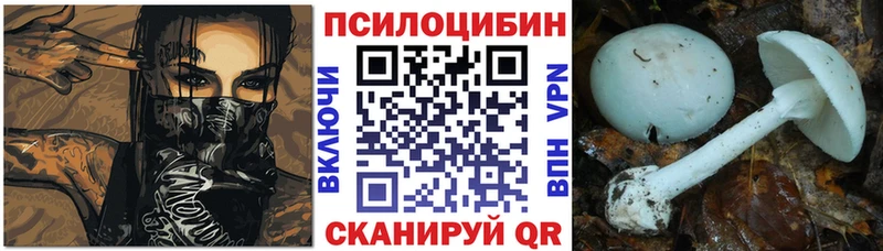 магазин продажи Мглин Галлюциногенные грибы Magic Shrooms